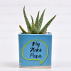 Gift Aloe Succulent in Papa Special Personalized Ceramic Pot (Filtered Light/Less Water)