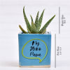 Shop Aloe Succulent in Papa Special Personalized Ceramic Pot (Filtered Light/Less Water)