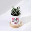 Buy Amazing Mom Personalized Mother's Day Zebra Succulent