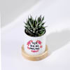 Shop Amazing Mom Personalized Mother's Day Zebra Succulent