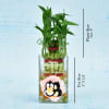 Anniversary Special Two Layer Lucky Bamboo In Personalized Glass Vase (Less Water/Moderate Sunlight) Online