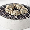 Shop Appetizing Coffee Mocha Cake