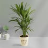 Gift Areca Palm In Nurturing Planter