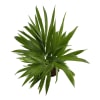Shop Areca Palm In Nurturing Planter - Customized With Logo