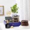 Gift Aroma Therapy Blooming Birthday Hamper