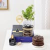 Buy Aroma Therapy Blooming Birthday Hamper