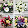 Arrangement of Cut Flowers. Online