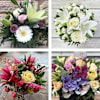 Arrangement of Cut Flowers Online