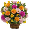 Arrangement of multicolored flowers Online