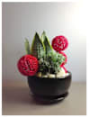 Arrangement of Plants Online