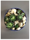 Arrangement of Plants Online