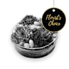Arrangement of Plants - Florist’s Choice Online