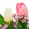 Gift Arrangement Spring Kiss