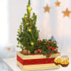 Arrangement with XMas lights and with 2 Ferrero Rocher Online