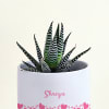 Shop Attractive Haworthia with Personalized Vase