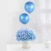 Aurora Blue Balloons Arrangement Online