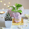 Shop Auspicious Aura