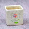 Gift Auspicious Tulsi in Ceramic Pot - Customized  with Diwali Theme & Logo