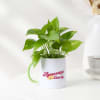Gift Awesome Didi Money Plant With Mug Planter