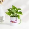 Awesome Didi Money Plant With Mug Planter Online