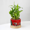 Buy Balance Of Life- Money Plant And Bamboo Plant Combo