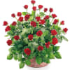 Basket of 30 roses Online