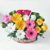 Gift Basket of Assorted Roses & Gerberas