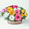 Basket of Assorted Roses & Gerberas Online