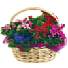 Basket of miscellaneous Online