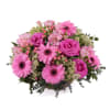 Basket of Pink Gerbera Daisies Online