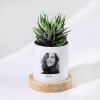 Beloved Memories - Haworthia Succulent With Pot - Personalized Online