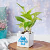 Gift Best Dad White Ceramic Planter With Plant