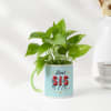 Gift Best Sis Ever Money Plant With Mug Planter