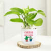 Buy Birthday Special Money Plant With Red Velvet Jar Cake