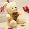 Gift Birthday Teddy Bear With Personalized Heart Panel