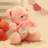 Gift Birthday Teddy With Personalized Heart Panel - Pink