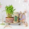 Buy Blissful Bloom Diwali Gift Hamper