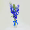 Blissful Blue Bouquet Online