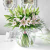 Blissful Lilies Online