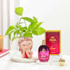Buy Bloom And Breathe Fragrance Combo
