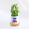 Bloom Into 2024 Bamboo Plant With Pot Online