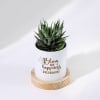 Buy Bloom With Happiness Haworthia Succulent With Personalized Planter