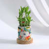 Gift Blooming Birthday Surprise Personalized 2-Layer Bamboo Plant With Pot