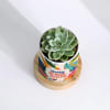 Shop Blooming Birthday Surprise Personalized Echeveria Succulent With Pot