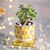 Buy Blooming Prosperity