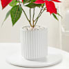 Shop Blooming Red Poinsettia And Ceramic Pot