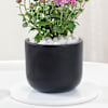 Shop Blossoming Chrysanthemum And Midnight Clay Pot