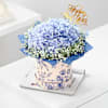 Gift Blossoming Hydrangea New Year Arrangement