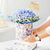 Buy Blossoming Hydrangea New Year Arrangement