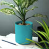 Shop Blue Cylindrical Planter (Without Plant)